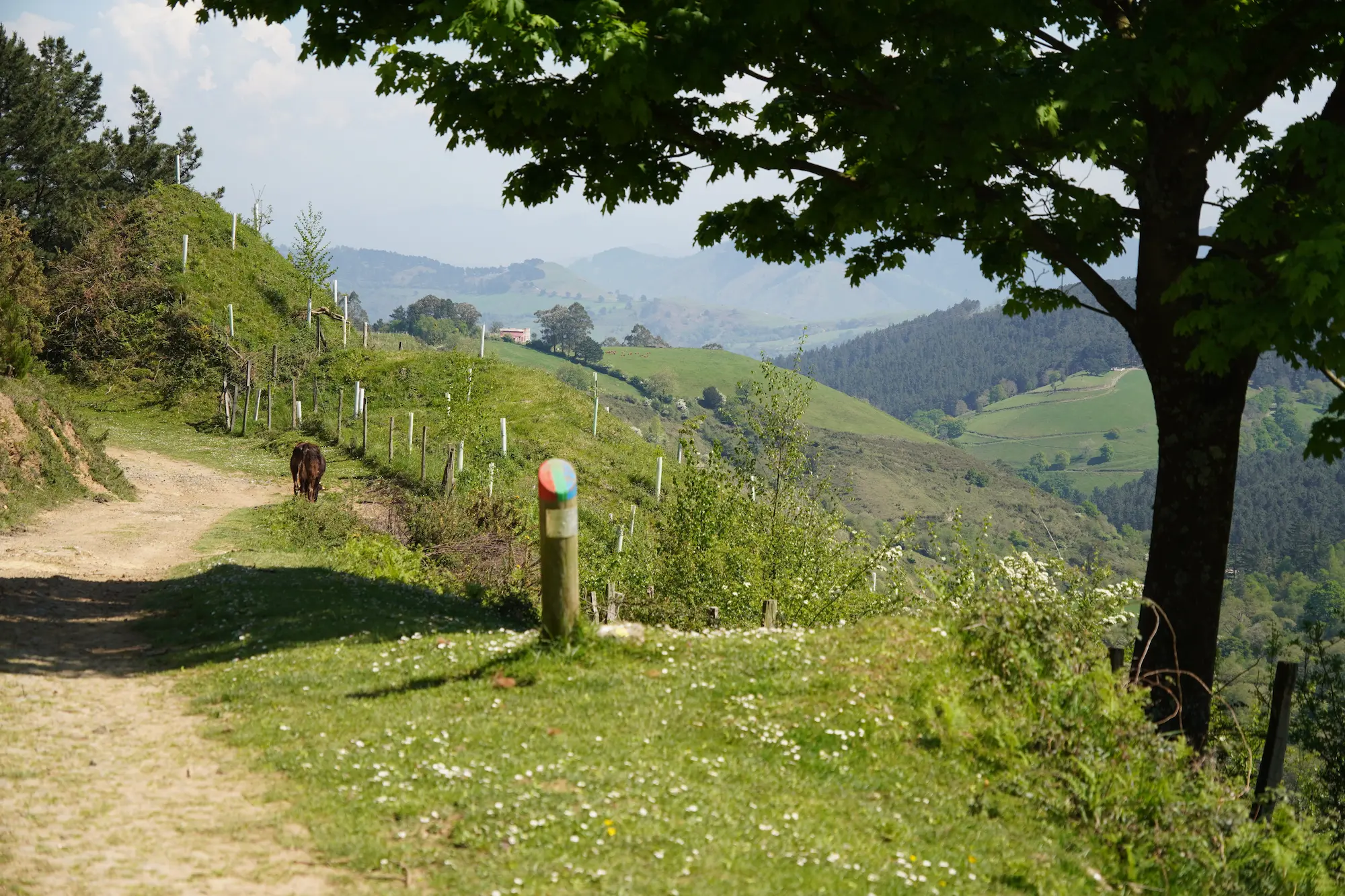 imagen de Labyrinthe de Peñas Negras